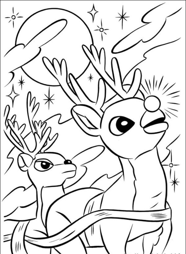 Rudolph Y Sus Amigos Miran El Cielo