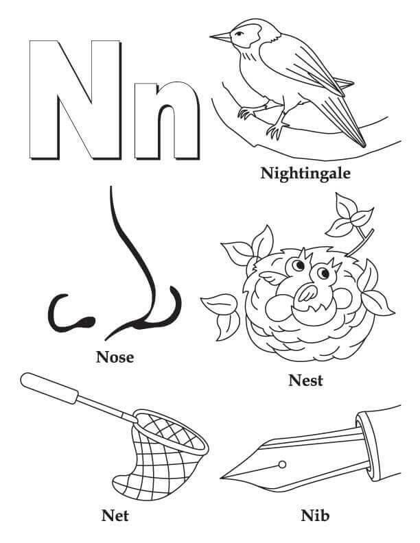 Ruiseñor, Nariz, Nido, Red, Plumilla Letra N para colorear, imprimir e dibujar –ColoringOnly.Com con letra n para colorear Ruiseñor, Nariz, Nido, Red, Plumilla Letra N para colorear, imprimir e dibujar –ColoringOnly.Com