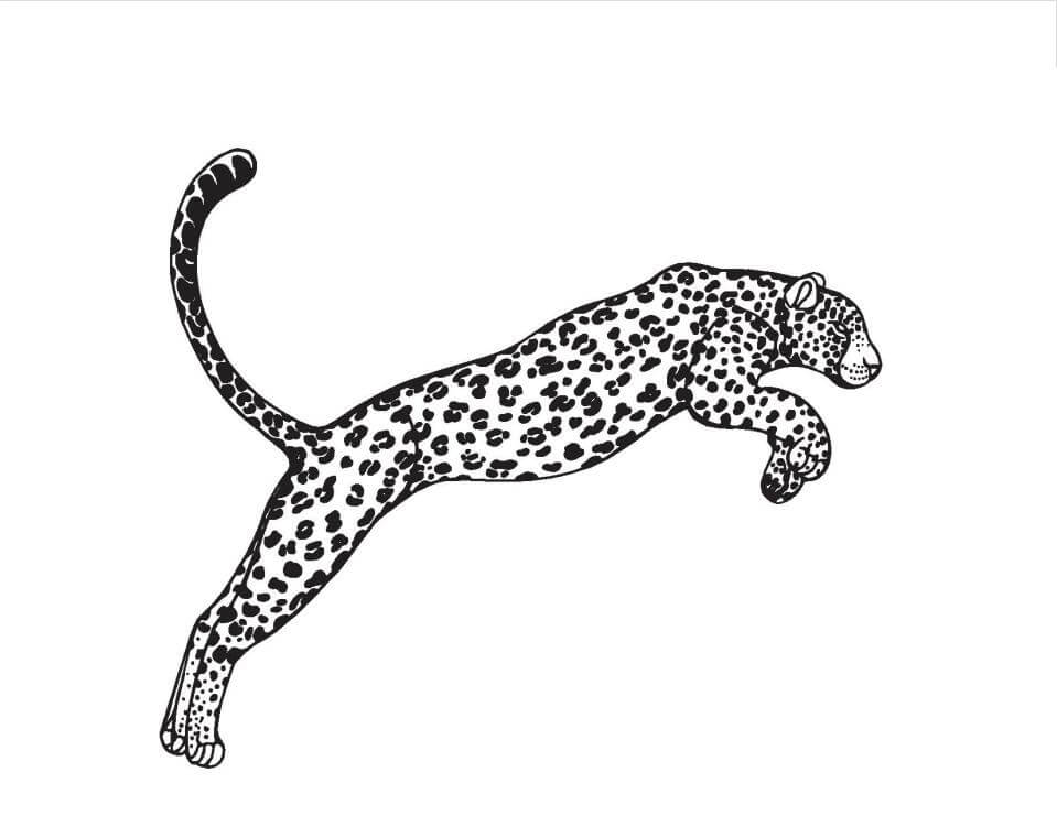 Salto de Leopardo