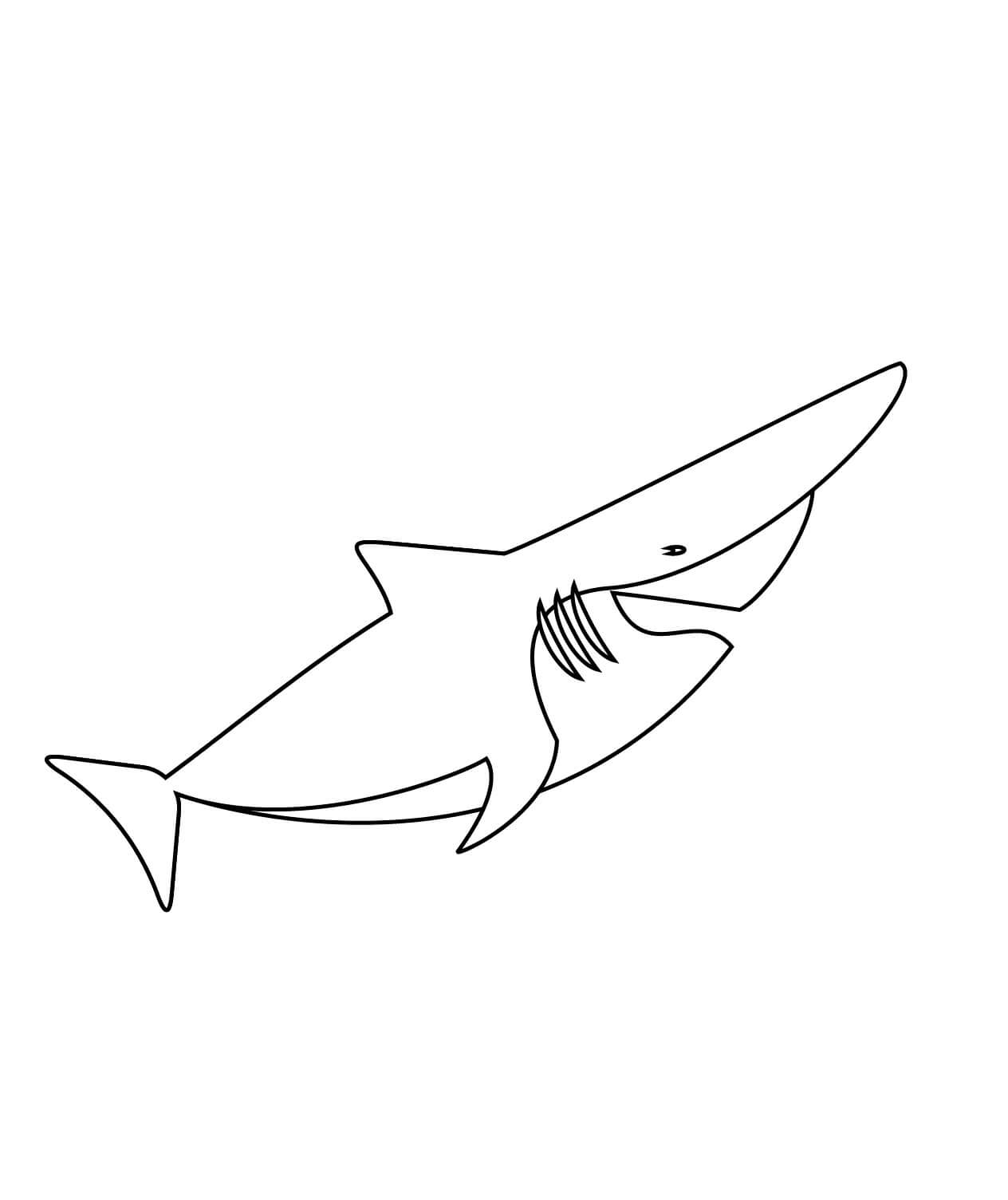 Tiburón Duende