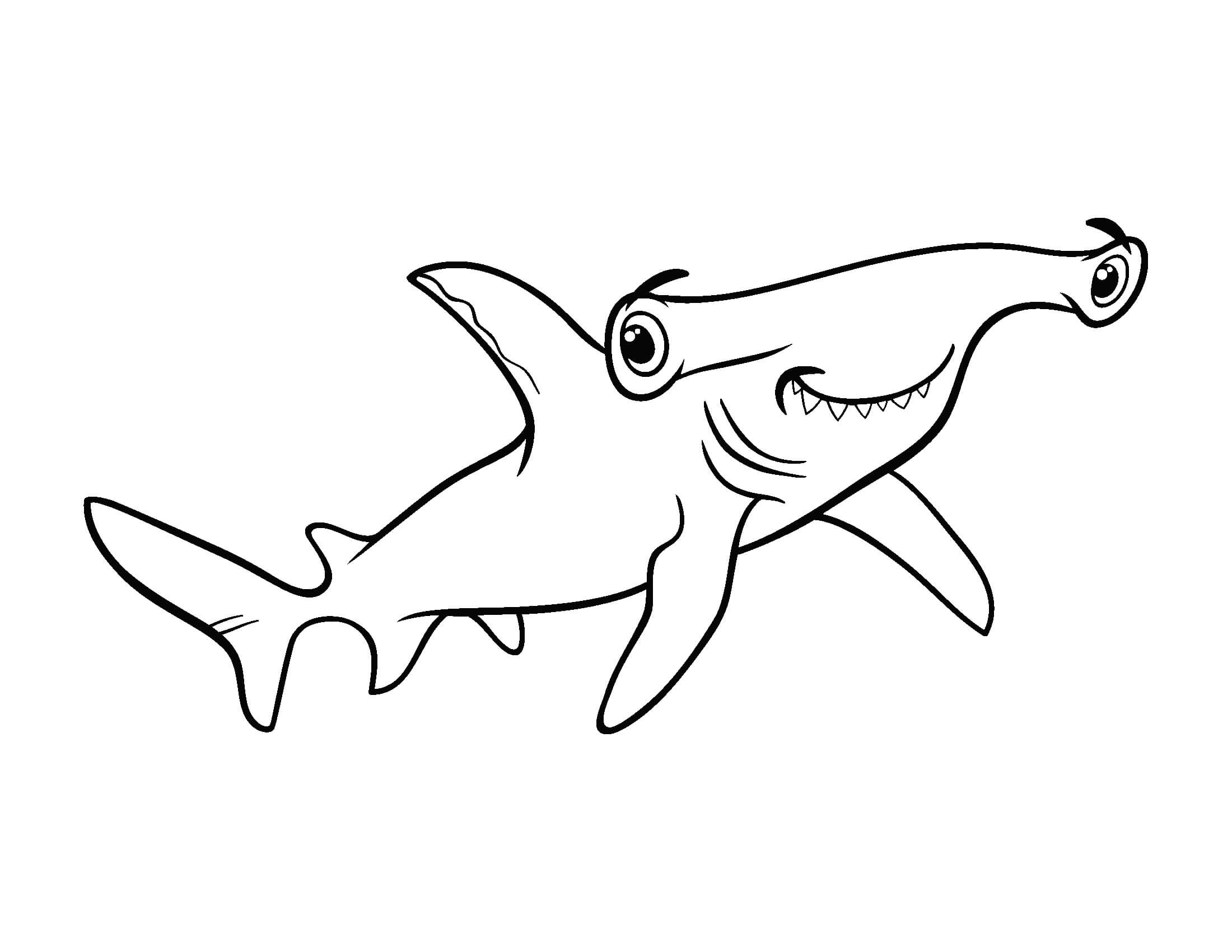 Tiburón Martillo Sonriente