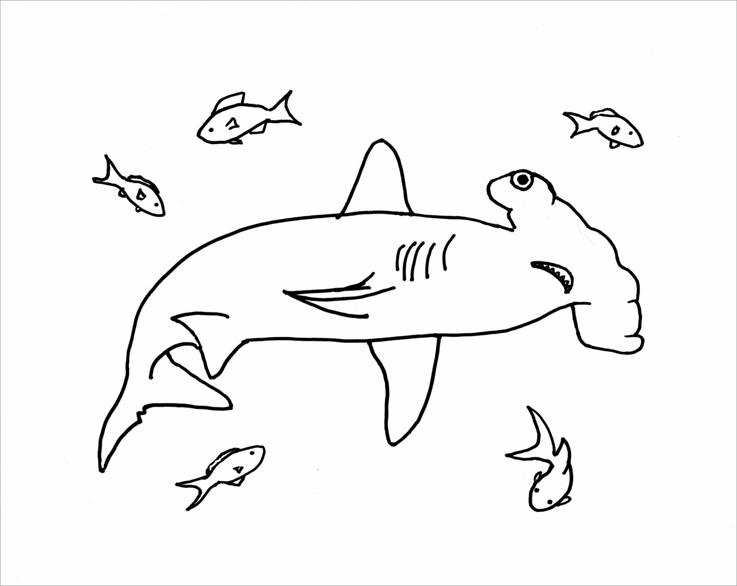 Tiburón Martillo con Peces