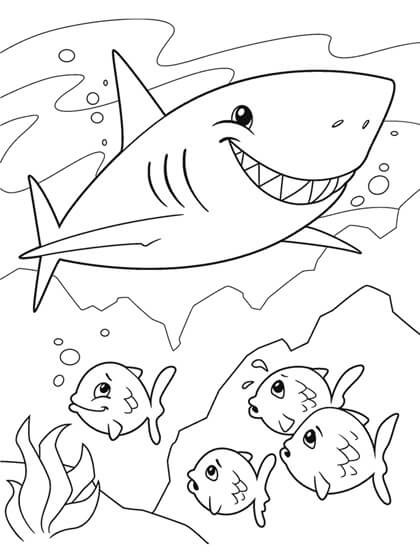 Tiburón con cuatro Peces