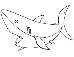 Tiburón Básico