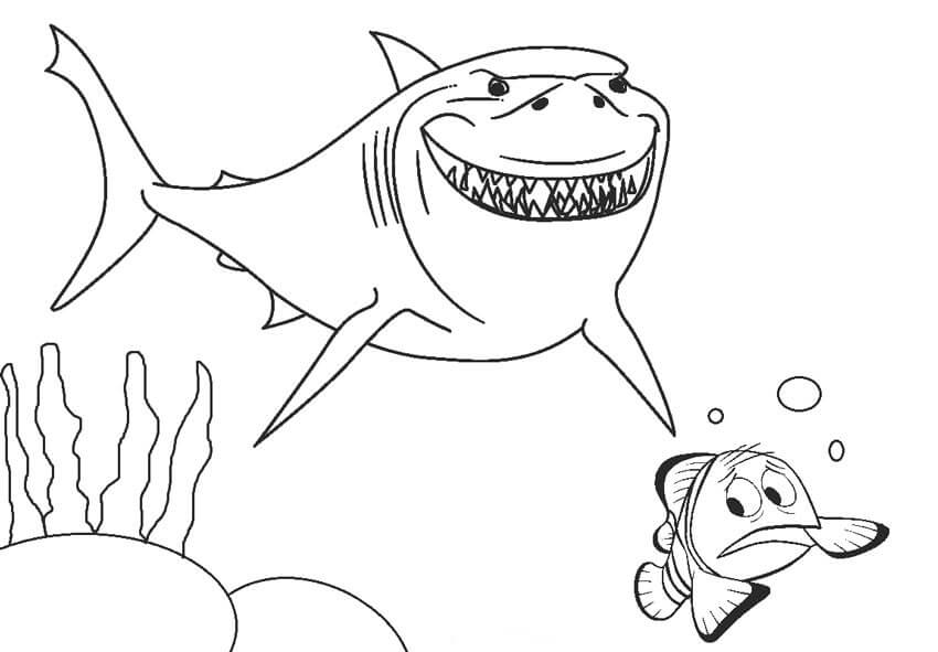 Tiburón Y Nemo