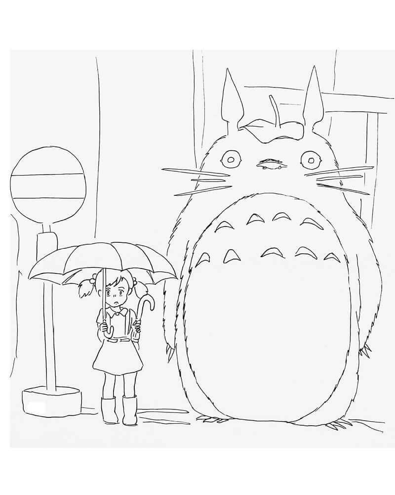 Totoro Amistoso