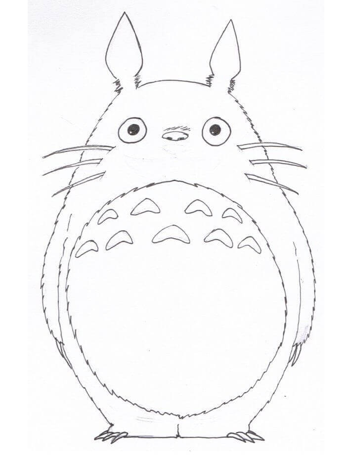 Totoro Divertido