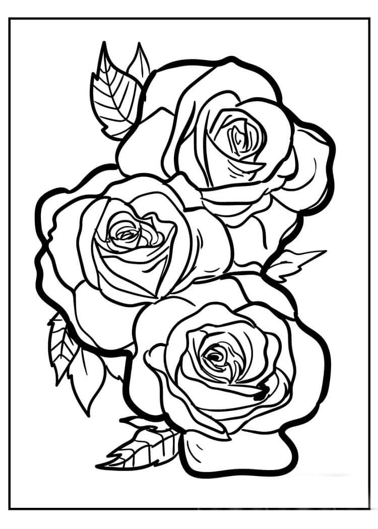 Tres Rosas para colorear, imprimir e dibujar –ColoringOnly.Com