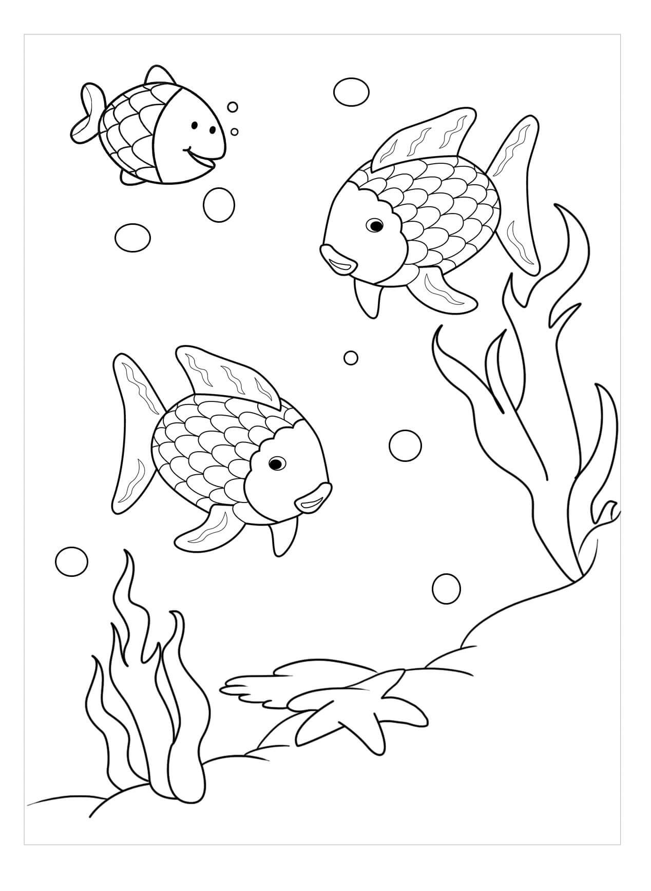 Tres peces Arcoiris