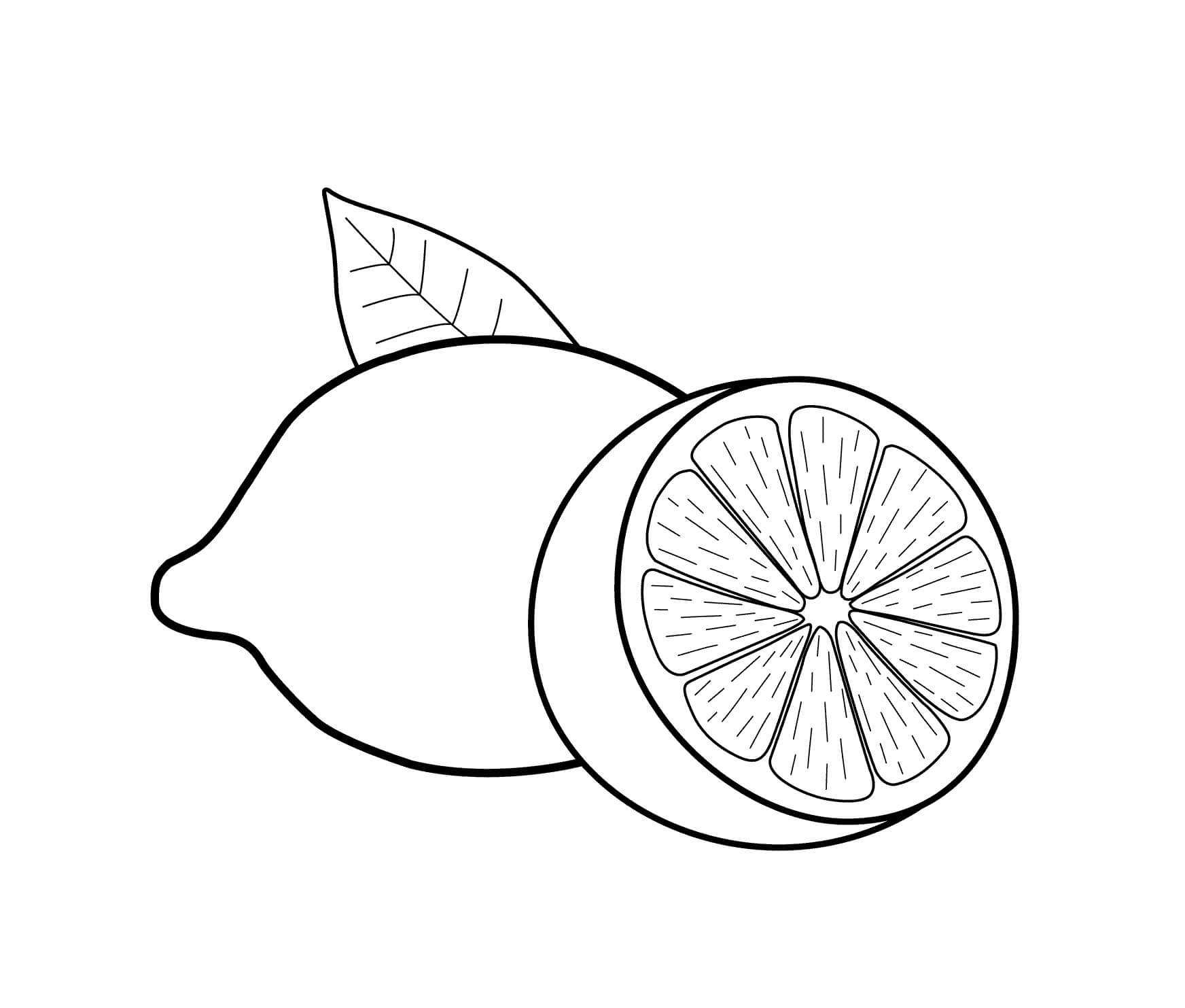 Dos Medio Limon Para Colorear Imprimir E Dibujar ColoringOnly Com