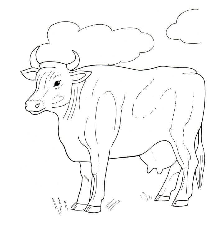 Vaca con Nubes