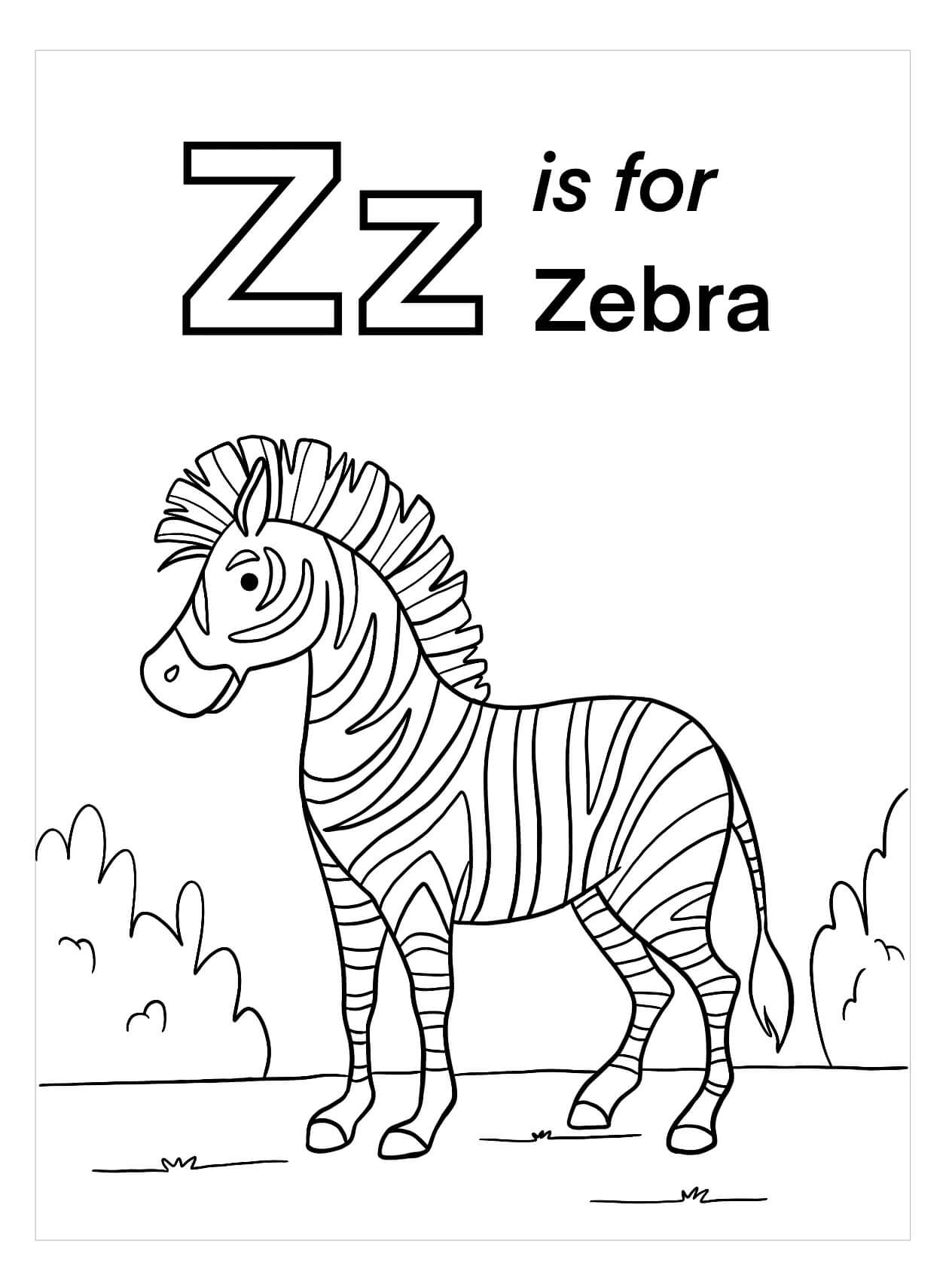 Z es para Cebra