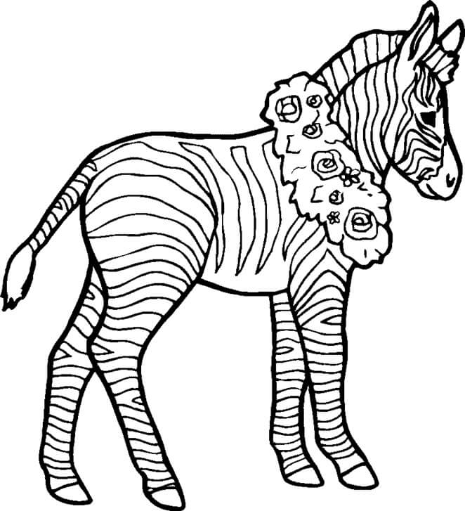 Zebra lleva una Corona Alrededor de su Cuello