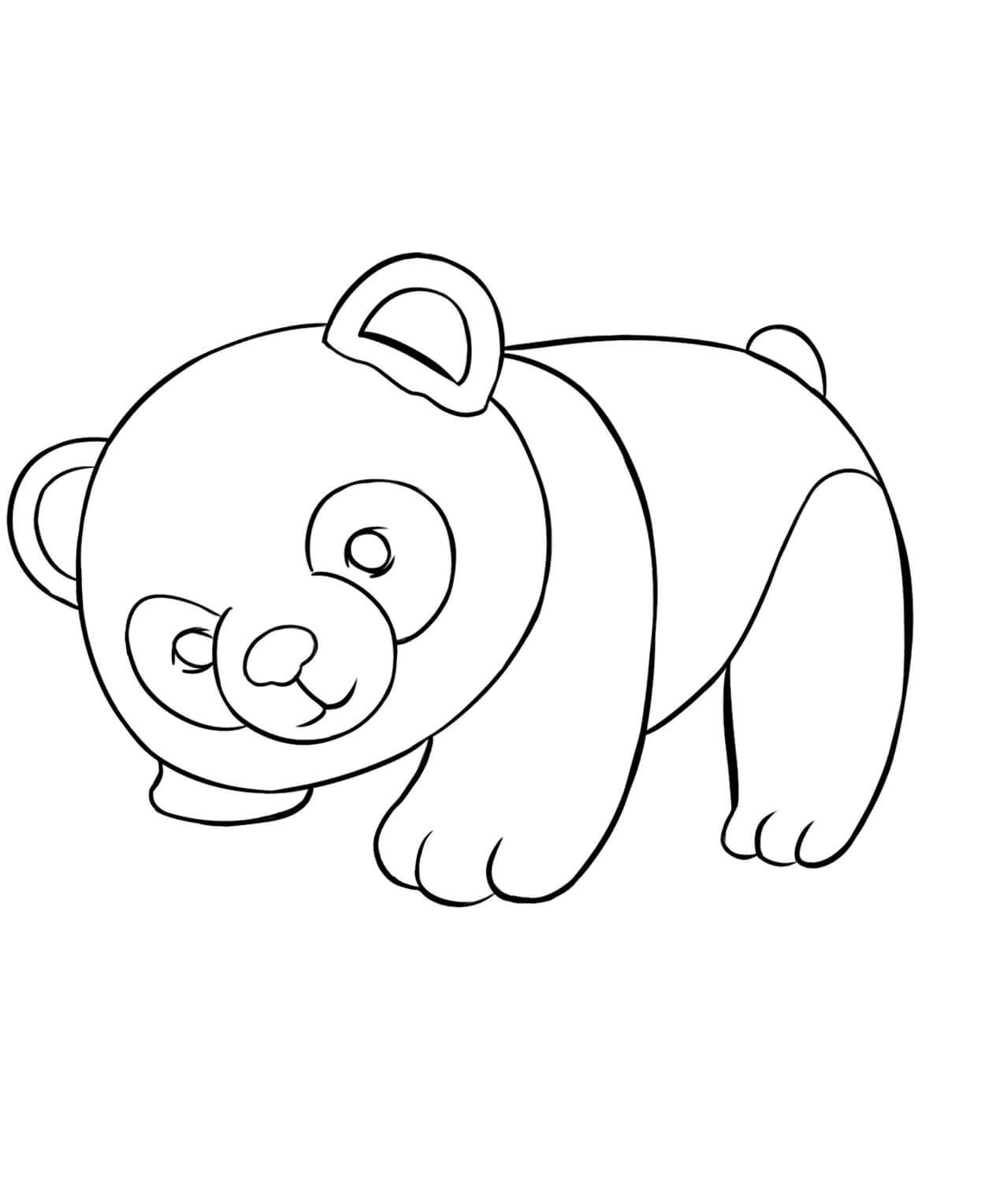 Малая панда раскраска