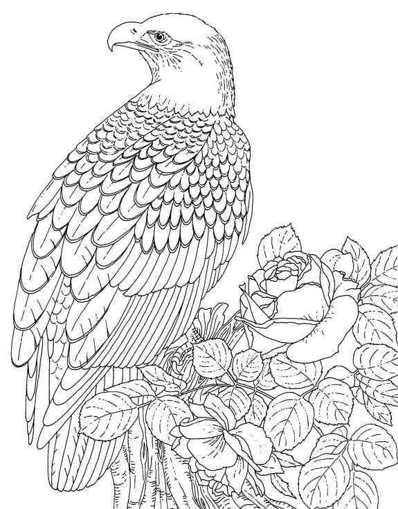 Águila con Rosa y Hojas para colorear, imprimir e dibujar –