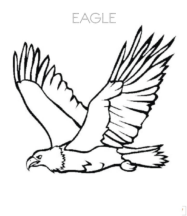 Águila Dibujo Básico para colorear, imprimir e dibujar –