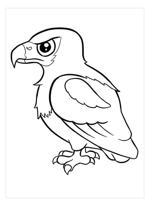 Águila Pescadora Africana para colorear, imprimir e dibujar  –