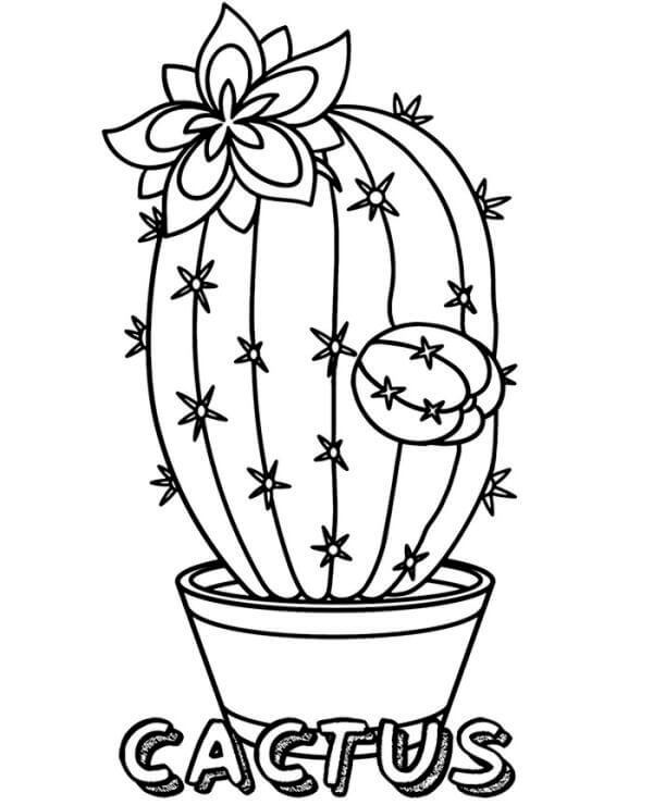 Dibujos de Cactus para colorear e imprimir– 