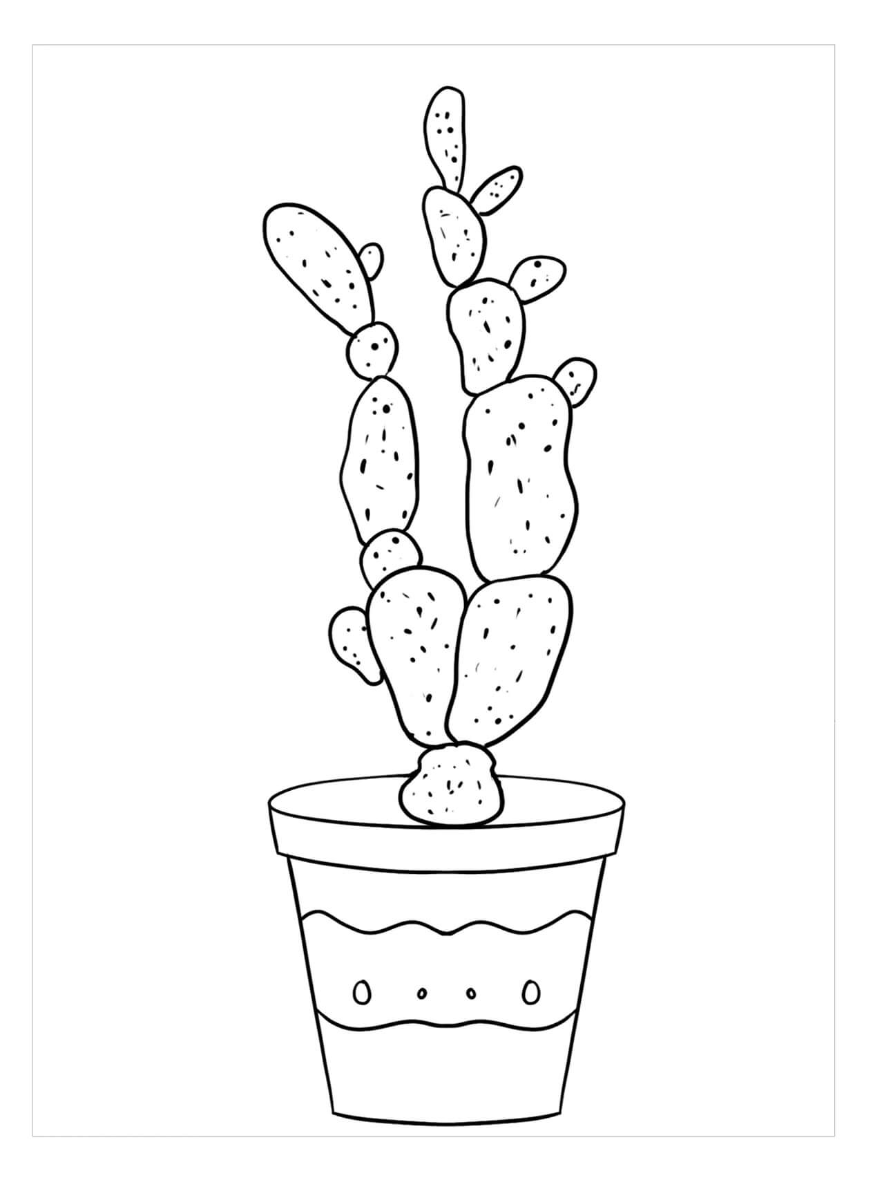 Cactus de Dedos de Dama para colorear, imprimir e dibujar –ColoringOnly.Com