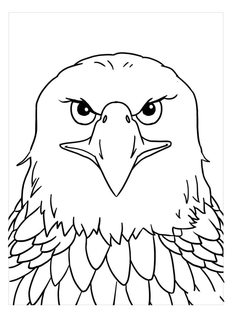 Cara de Águila para colorear, imprimir e dibujar –