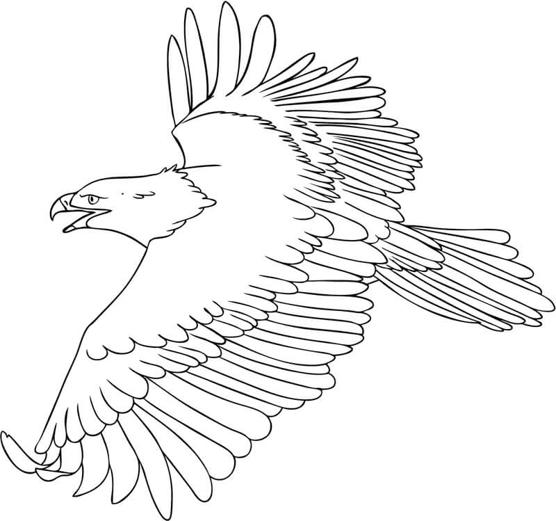 Cool águila Volando para colorear, imprimir e dibujar –