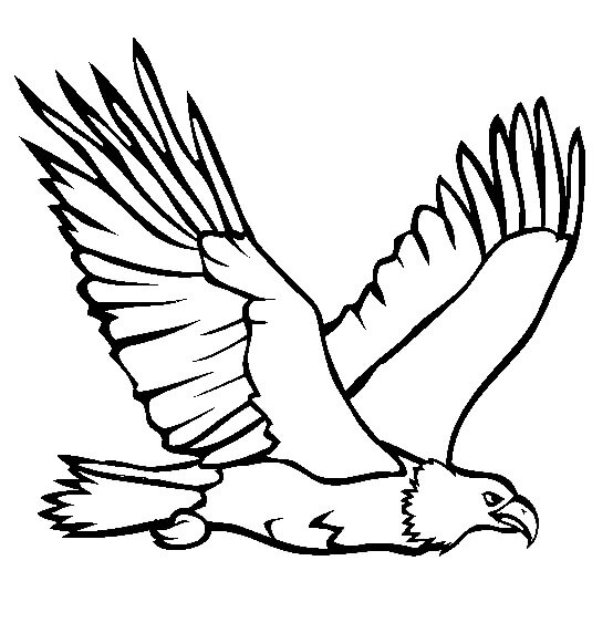 Dibujo Águila para colorear, imprimir e dibujar –