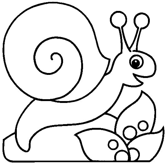 Caracol Sencillo Para Colorear Imprimir E Dibujar Coloringonlycom