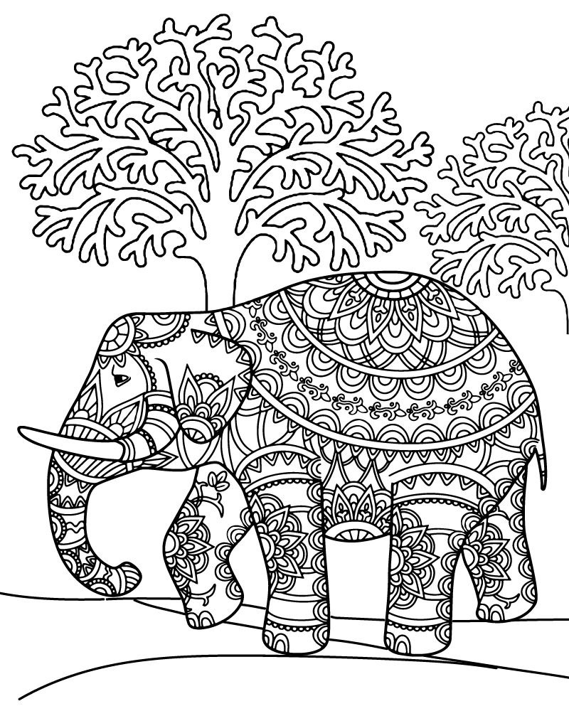 Zen de Elefante