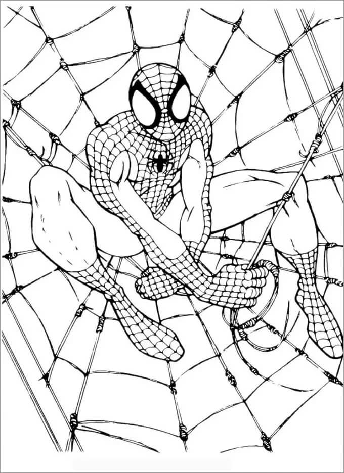 Hombre Araña en la Ciudad para colorear imprimir e dibujar ColoringOnly Com