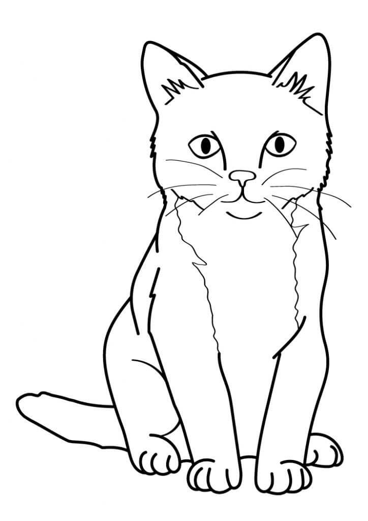 Dibujos de Gatos para colorear e imprimir– 