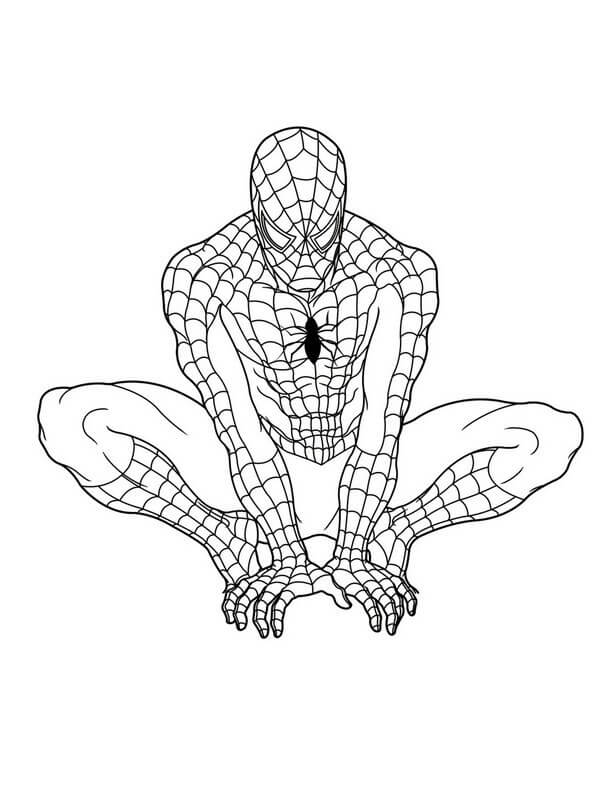 Gráficos Gratis del Hombre Araña para colorear imprimir e dibujar ColoringOnly Com