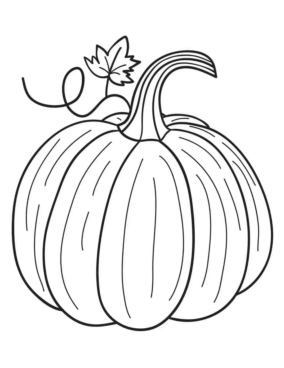 Gran Calabaza Para Colorear Imprimir E Dibujar ColoringOnly Com