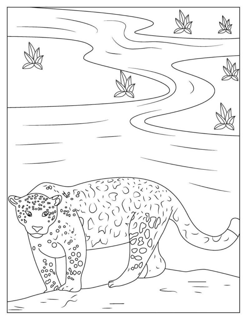 Dibujos De Jaguar Para Colorear E Imprimir– Coloringonly Com