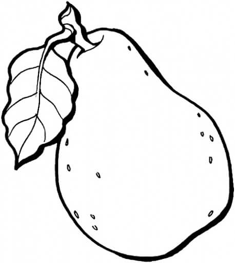 Dibujos de Guayaba para colorear e imprimir– Dibujos de Guayaba para colorear e imprimir–
