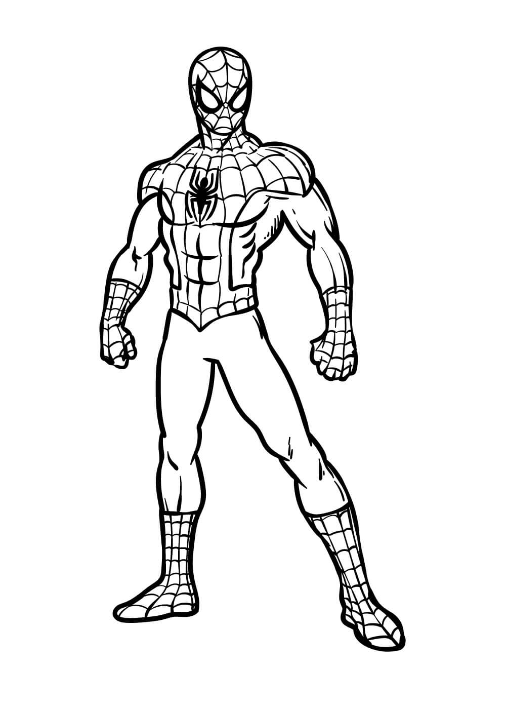 Dibujos de Hombre Araña para colorear e imprimir ColoringOnly Com