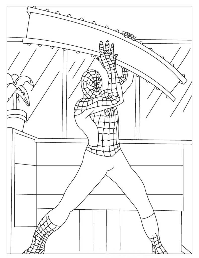 Hombre Araña en la Ciudad para colorear imprimir e dibujar ColoringOnly Com