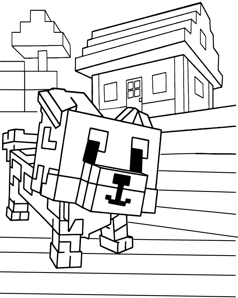 Mapache Cultiva un Jardín