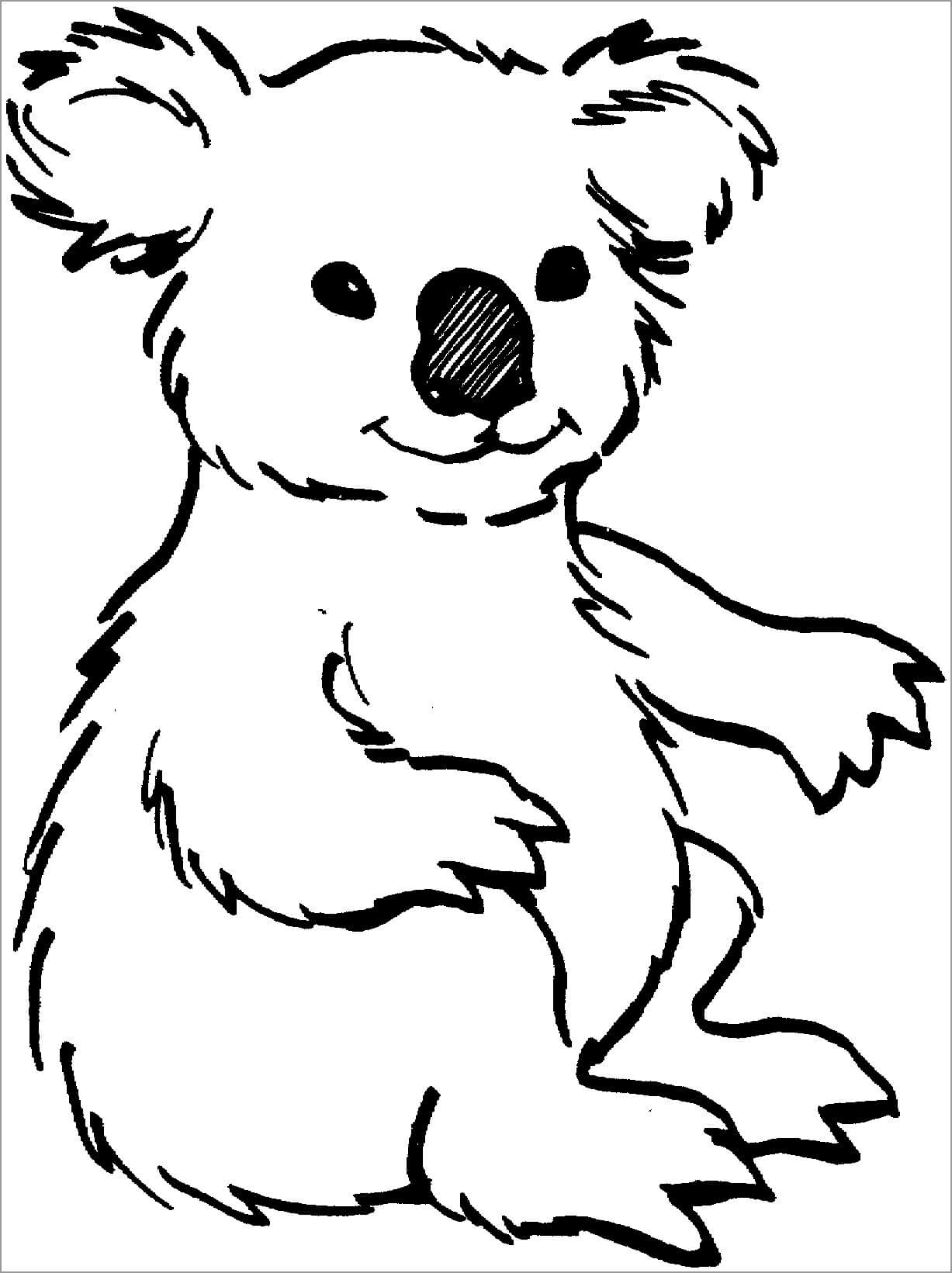 Koala Sentado para colorear imprimir e dibujar ColoringOnlyCom
