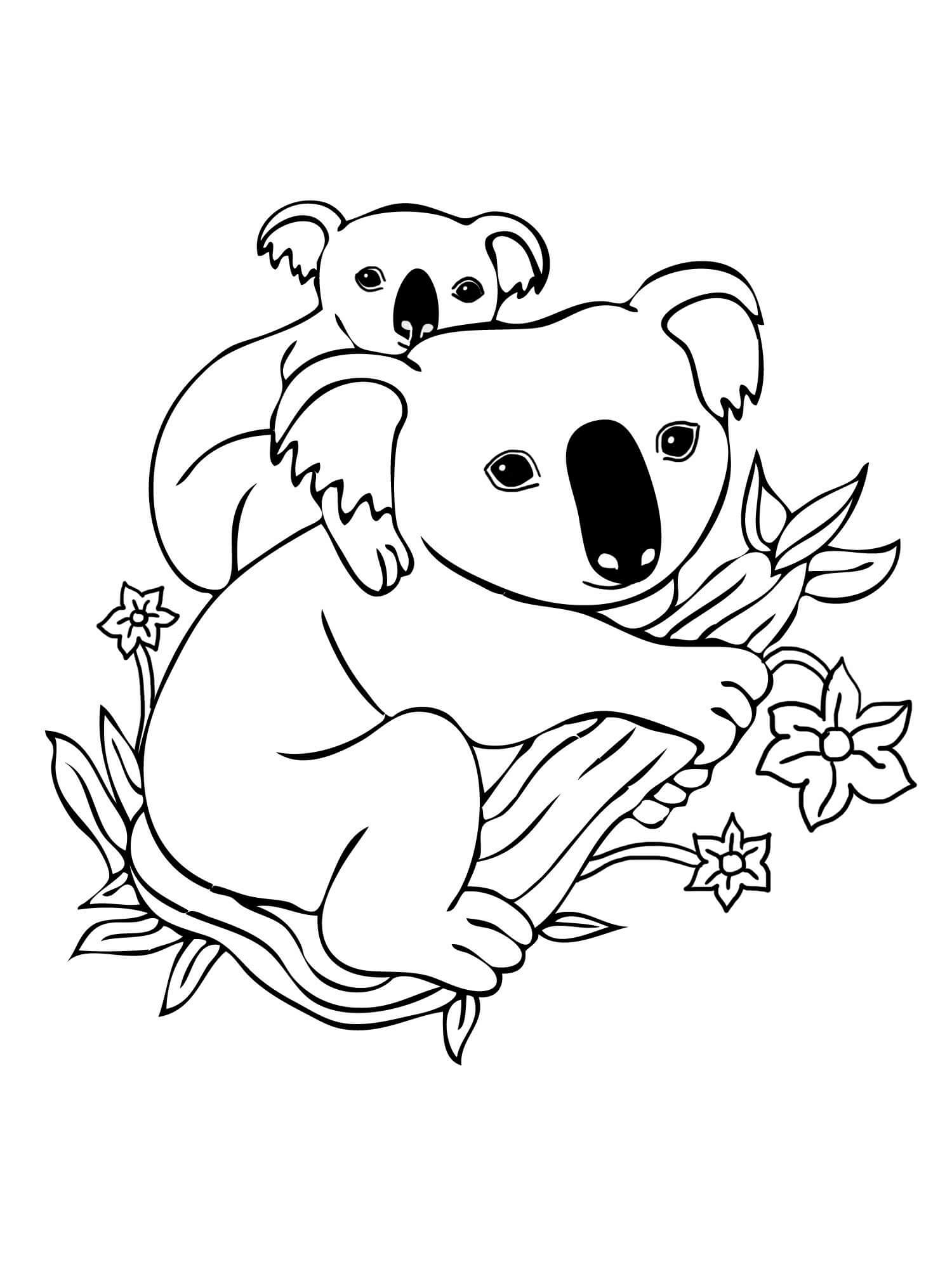 hermano koala con bebé koala para colorear imprimir e dibujar