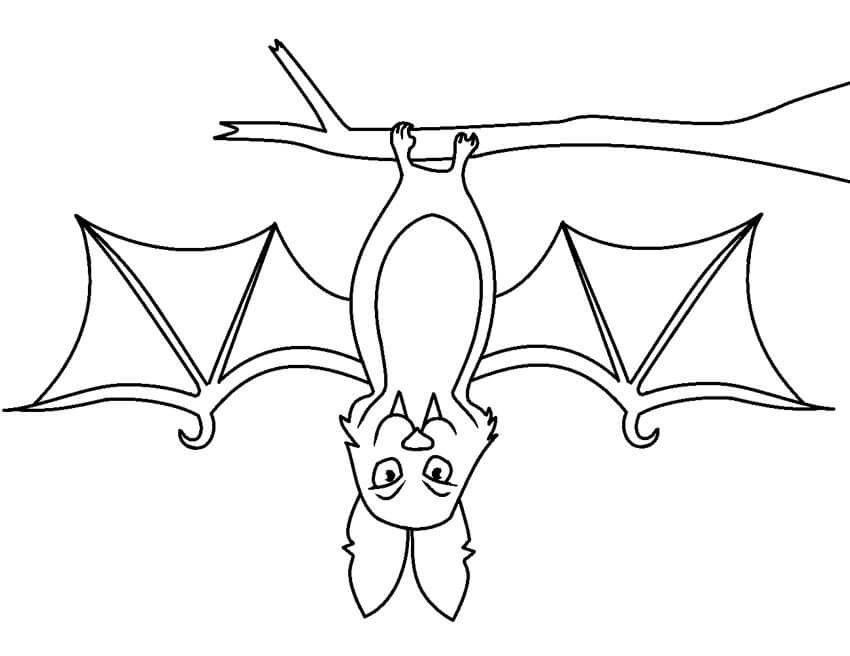 Murciélago Colgado boca Abajo en la Rama de un Árbol para colorear,  imprimir e dibujar –