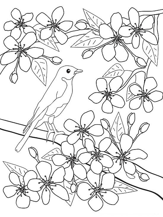 Pájaro y Flor en Primavera para colorear, imprimir e dibujar  –