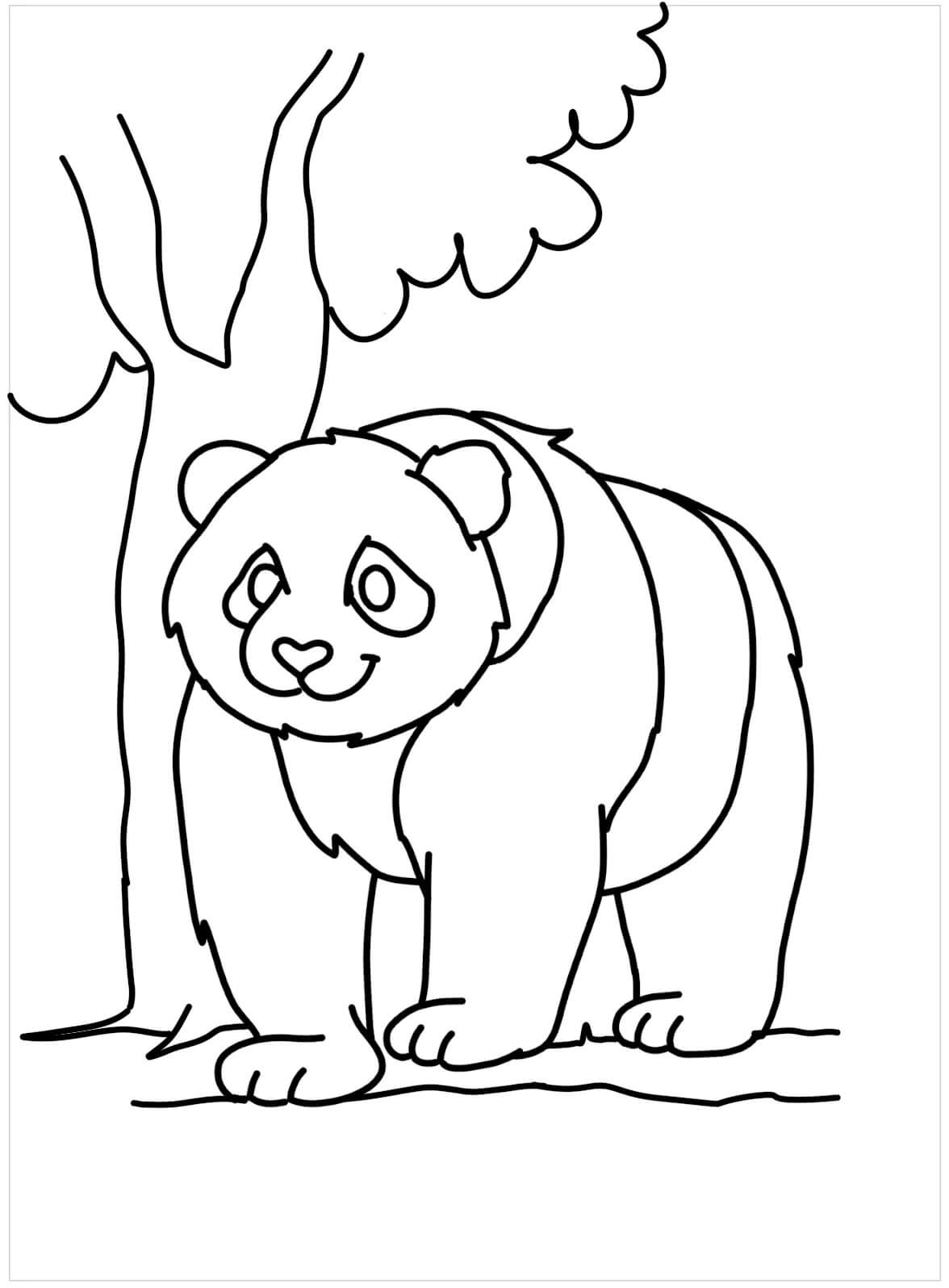 Mandala Madre Panda Y Beb Panda Para Colorear Imprimir E Dibujar