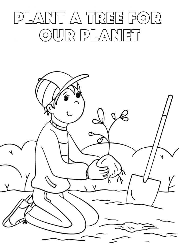 Plantar Un Rbol Para Colorear Imprimir E Dibujar Coloringonly Com