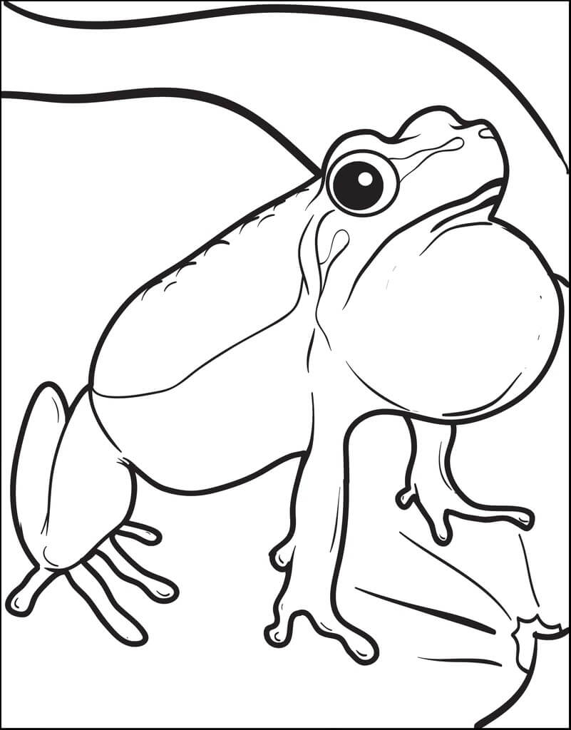 Rana Adorable para colorear, imprimir e dibujar –ColoringOnly.Com