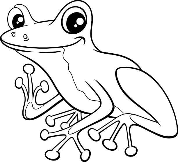 Dibujos de Rana para colorear e imprimir– ColoringOnly.Com
