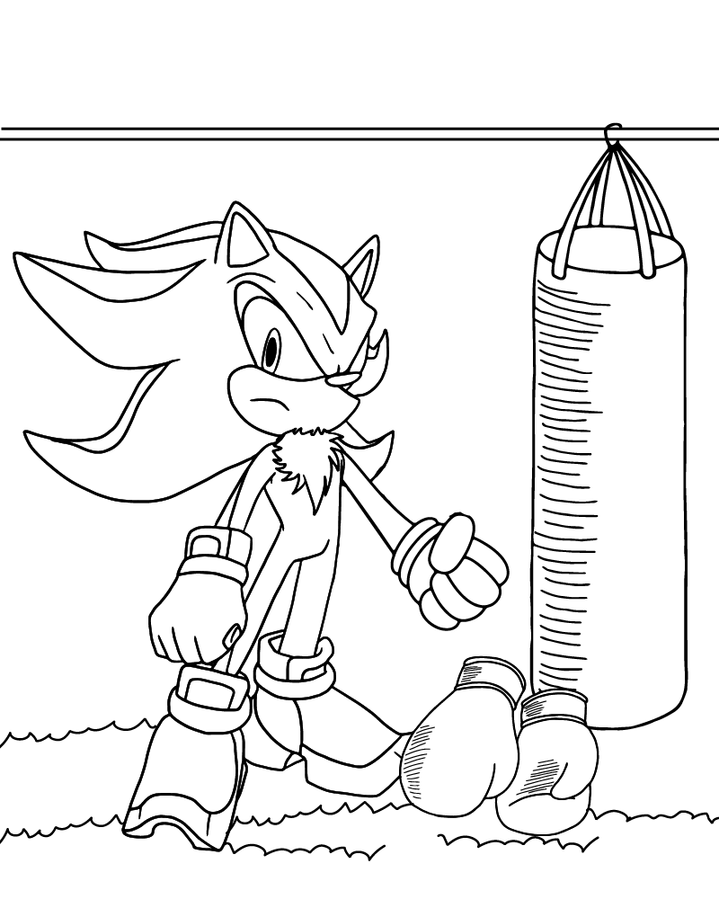 Sonic Sombra Boxeando