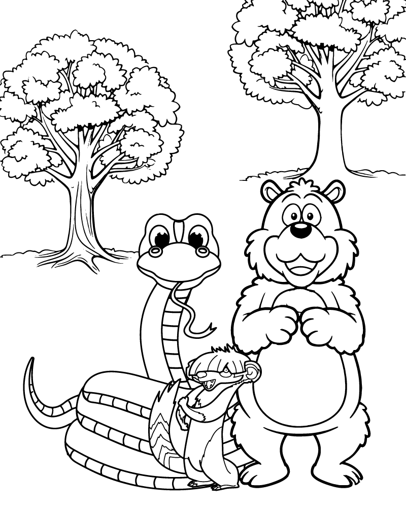 Serpiente y Oso