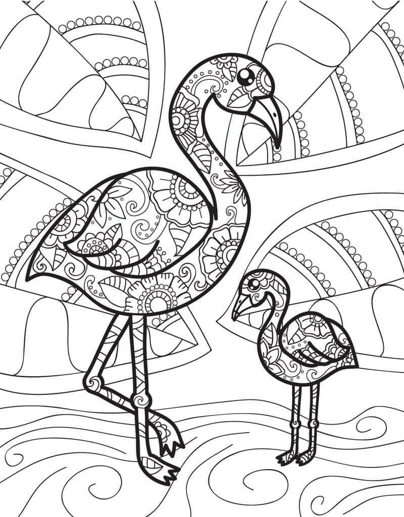Dos Mamá e Hijo Flamingo Difícil