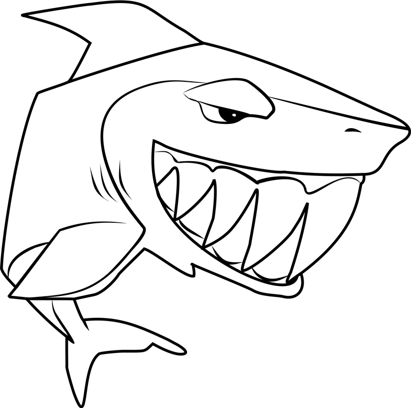 Requin Aux Grandes Dents