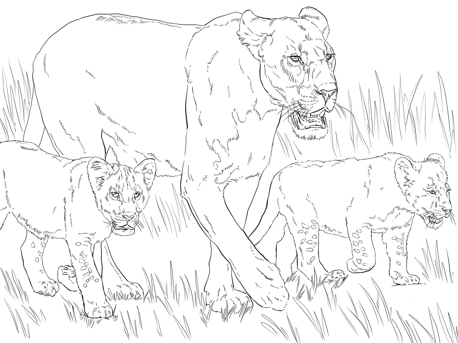 Mère Lion et Enfant